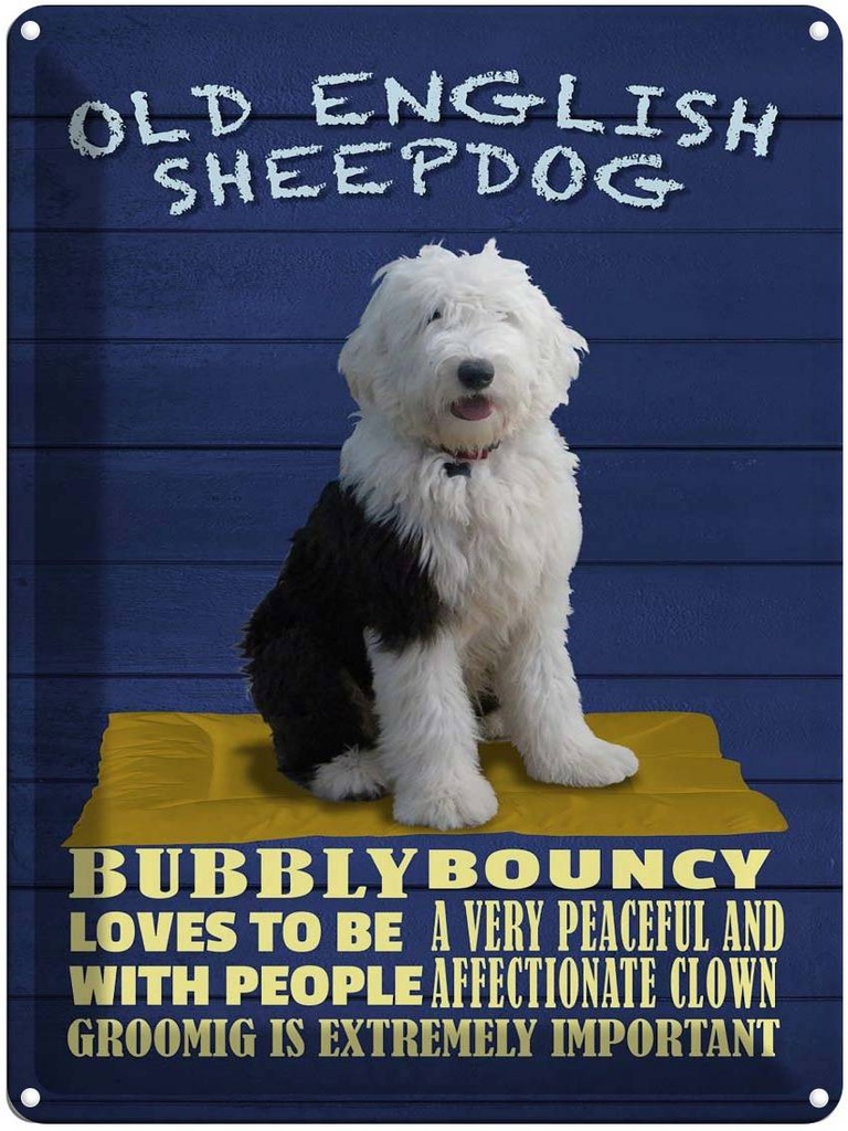 Blechschild 40x30 cm Old English Sheepdog Hund bubbly
