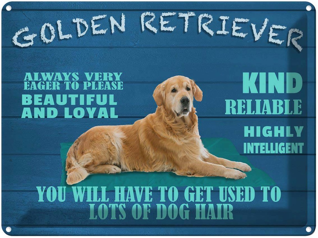 [LA-1789981] Blechschild 30x40 cm Golden Retriever Hund very eager