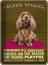 Blechschild 40x30 cm Cocker Spaniel Hund cuddly