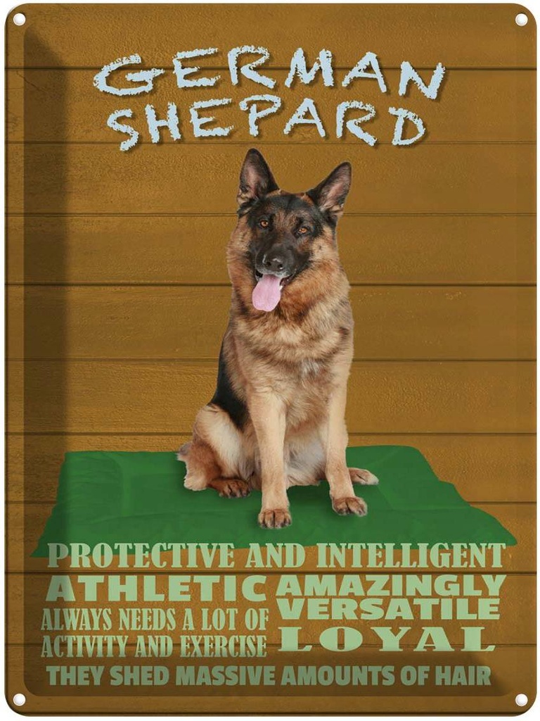 Blechschild 40x30 cm German Shepard Hund athletic