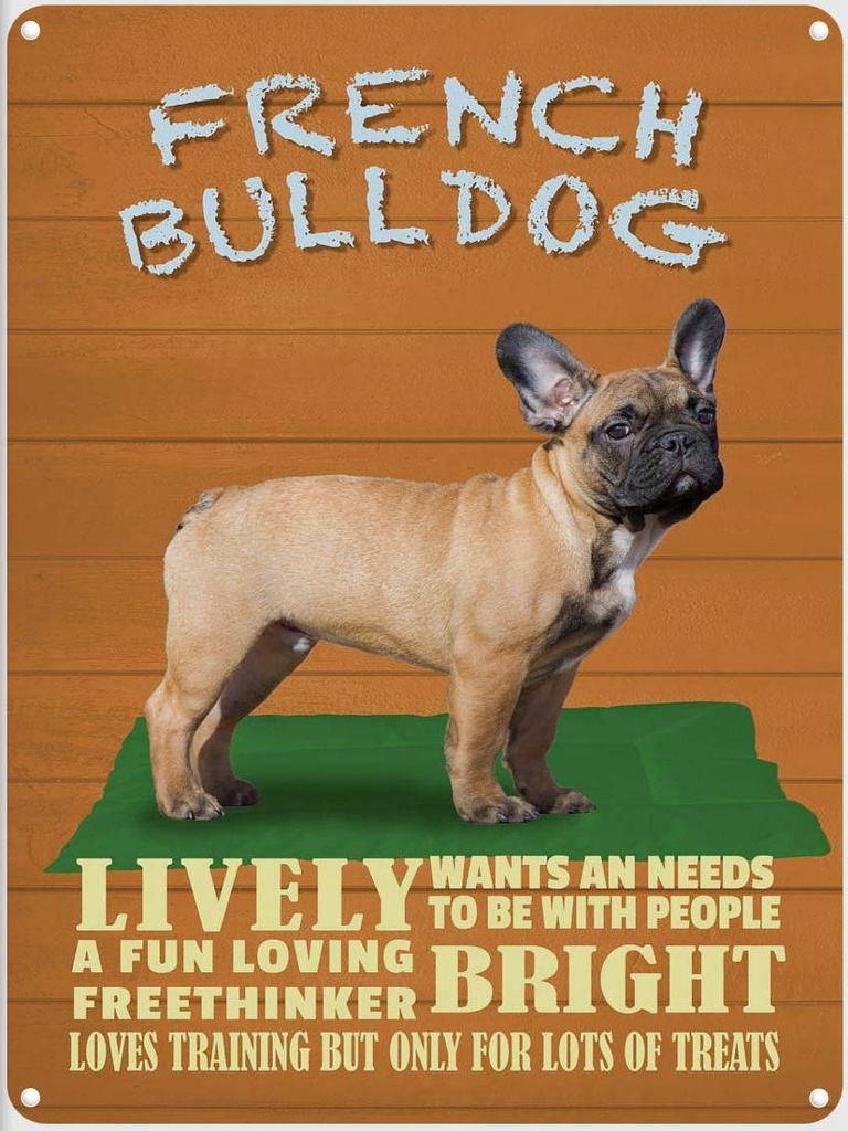 Blechschild 40x30 cm French Bulldog Hund lively