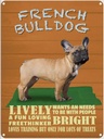 Blechschild 40x30 cm French Bulldog Hund lively