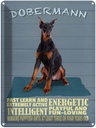 Blechschild 40x30 cm Dobermann Hund fast learn and
