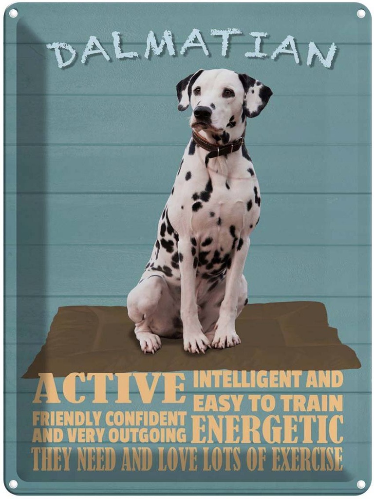 Blechschild 40x30 cm Dalmatian Hund active and easy