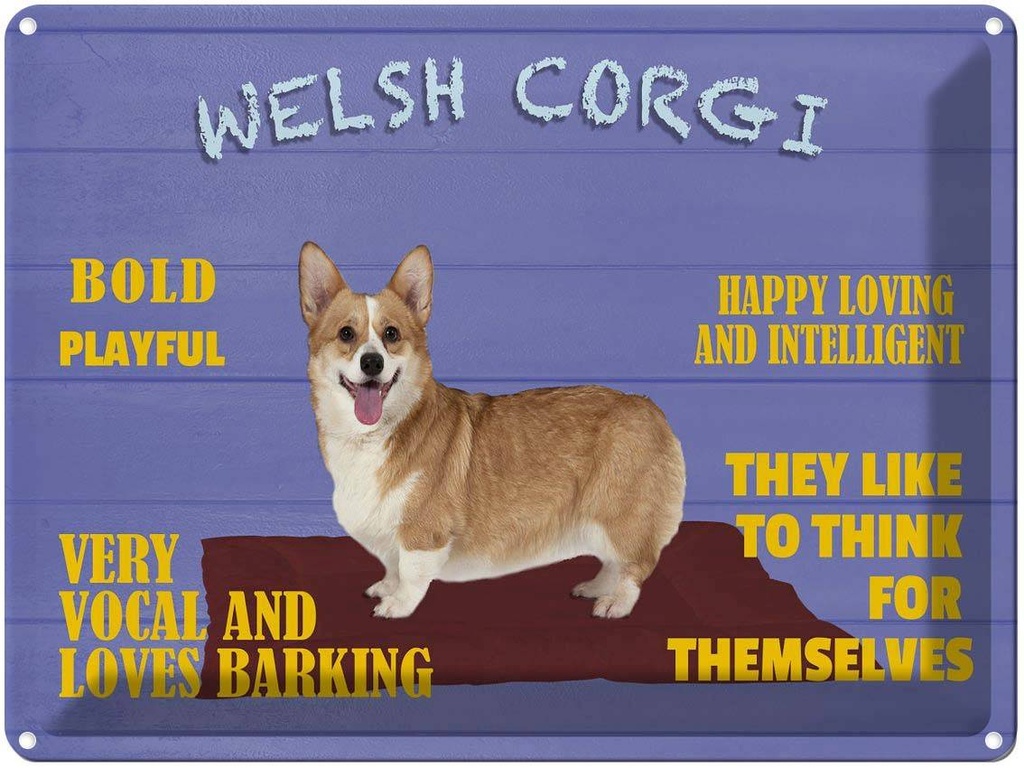 [LA-1789988] Blechschild 30x40 cm Welsh Corgi Hund bold playful