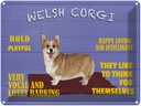 Blechschild 30x40 cm Welsh Corgi Hund bold playful
