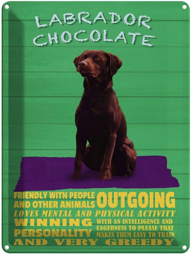 Blechschild 40x30 cm Labrador Chocolate Hund