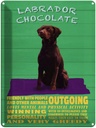 Blechschild 40x30 cm Labrador Chocolate Hund