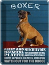 Blechschild 40x30 cm Boxer Hund watchful playful