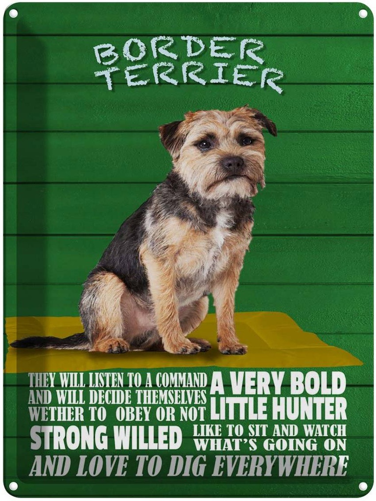 Blechschild 40x30 cm Border Terrier Hund a very bold