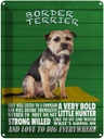 Blechschild 40x30 cm Border Terrier Hund a very bold