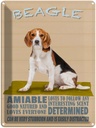 Blechschild 40x30 cm Beagle Hund loves to follow any