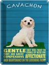Blechschild 40x30 cm Cavachon Hund gentle affectionat