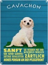 Blechschild 40x30 cm Cavachon Hund sanft zärtlich