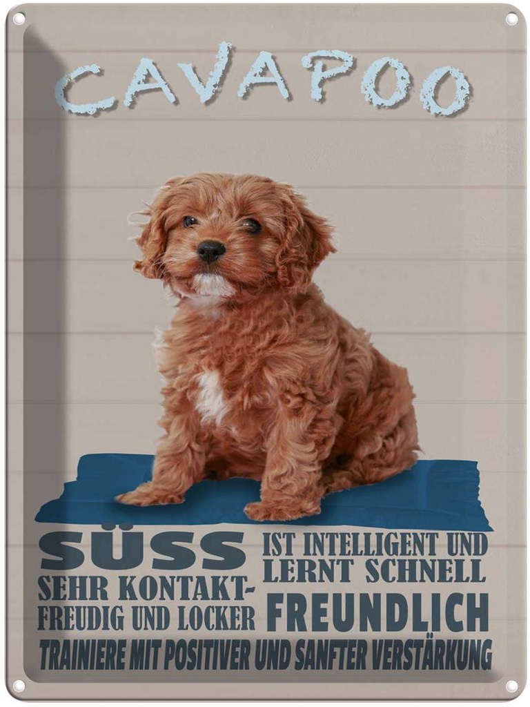 [LA-1790003] Blechschild 40x30 cm Cavapoo Hund süss freundlich