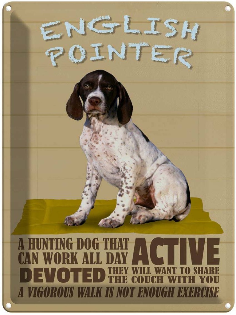 Blechschild 40x30 cm English Pointer Hund active