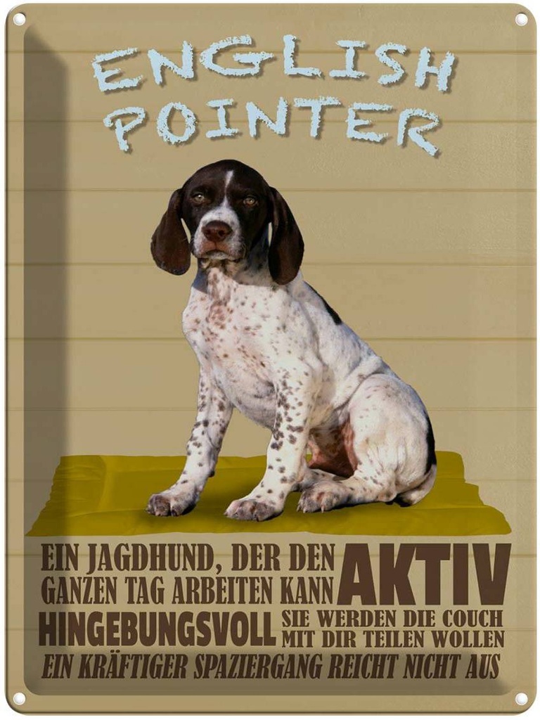[LA-1790006] Blechschild 40x30 cm English Pointer Jagdhund aktiv Hund