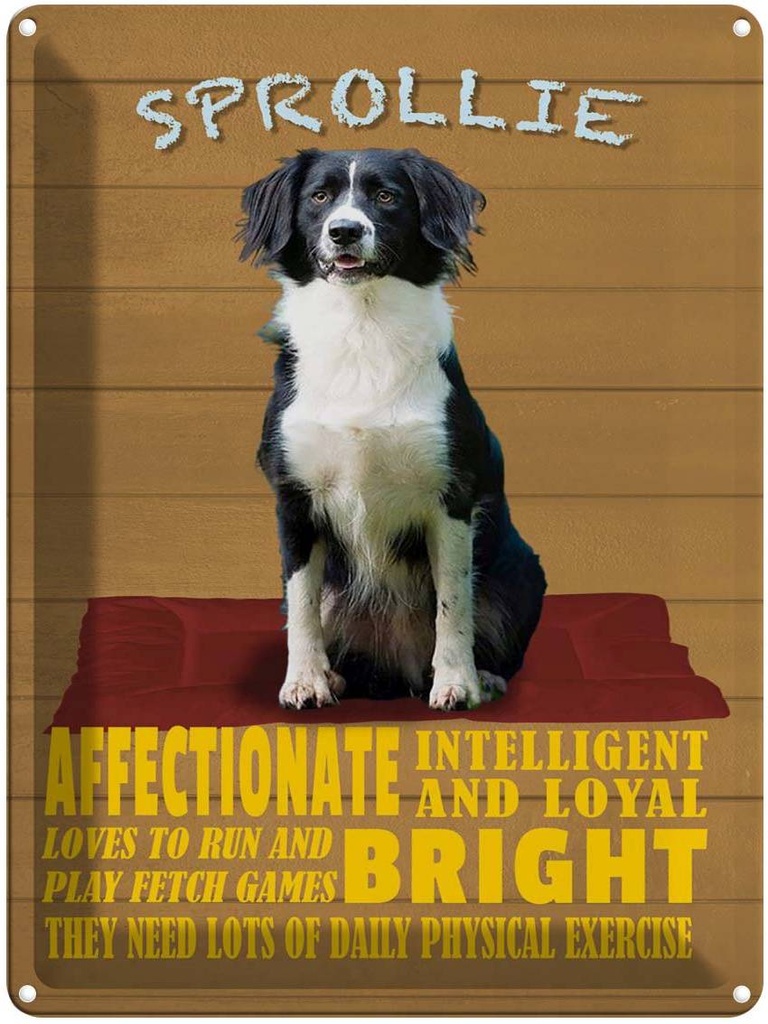 Blechschild 40x30 cm Sprollie Hund intelligent loyal