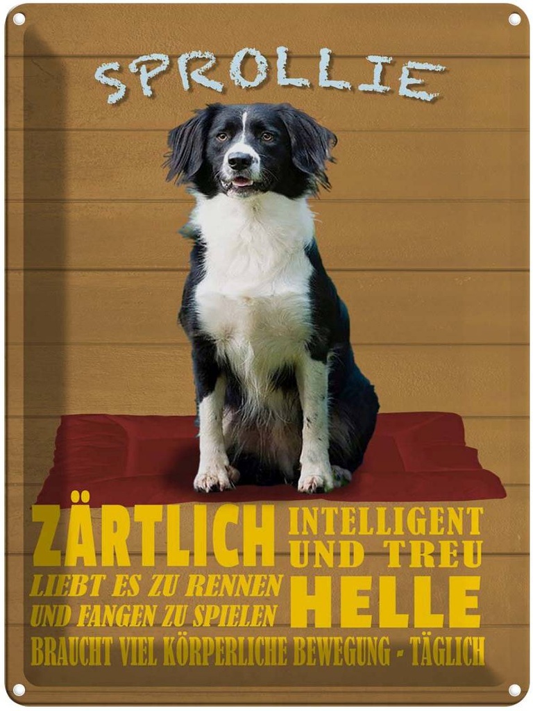[LA-1790008] Blechschild 40x30 cm Sprollie Hund zärtlich und treu Spruch Zitat
