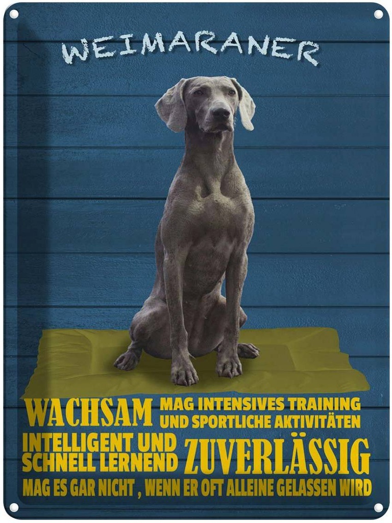 [LA-1790012] Blechschild 40x30 cm Weimaraner Hund wachsam schnell