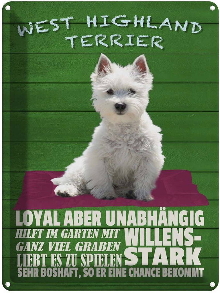 Blechschild 40x30 cm West Highland Terrier Hund stark