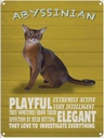 Blechschild 40x30 cm Abyssinian Katze playful elegant