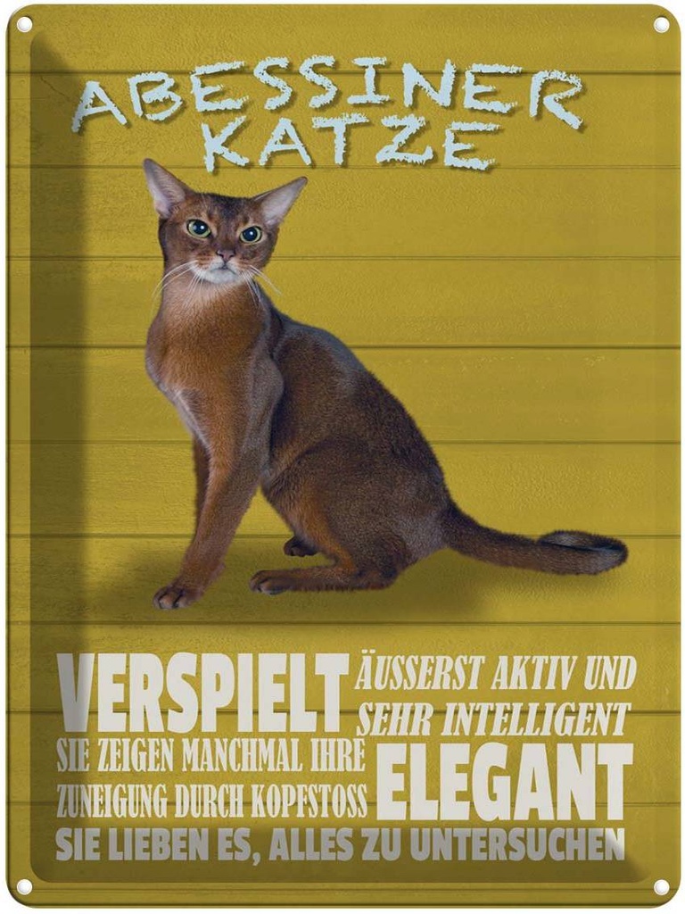 [LA-1790018] Blechschild 40x30 cm Abyssinian Katze verspielt