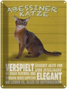 Blechschild 40x30 cm Abyssinian Katze verspielt