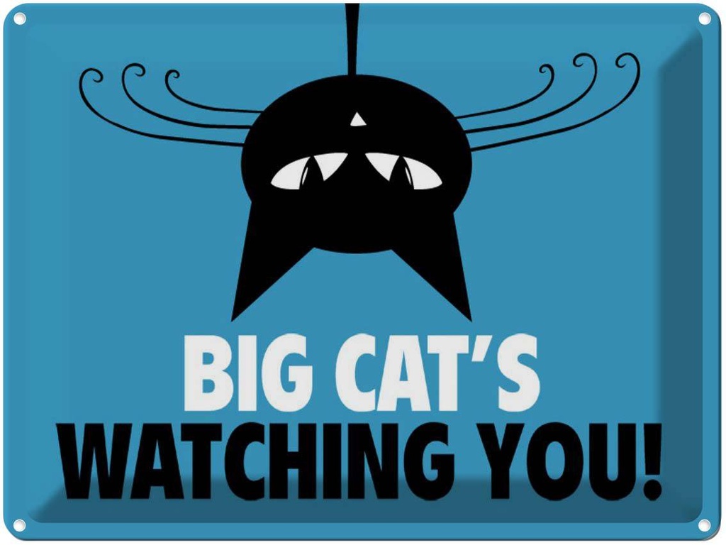 Blechschild 30x40 cm Big cat`s watching you Katze