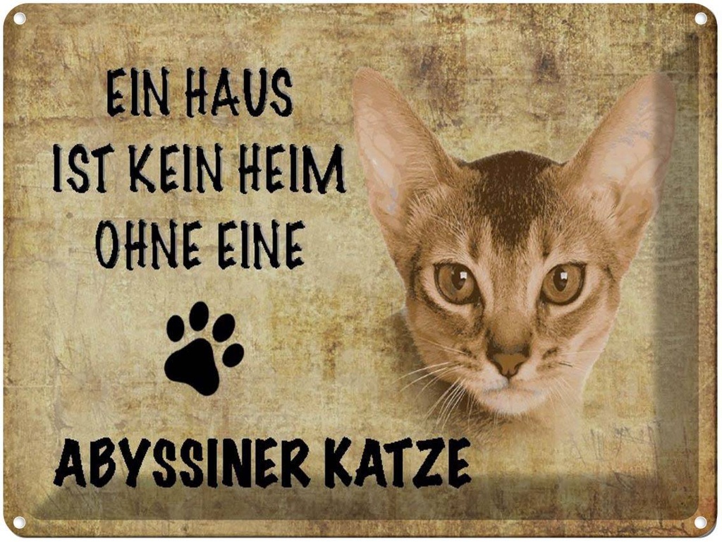 [LA-1790030] Blechschild 30x40 cm Abyssiner Katze ohne kein Heim