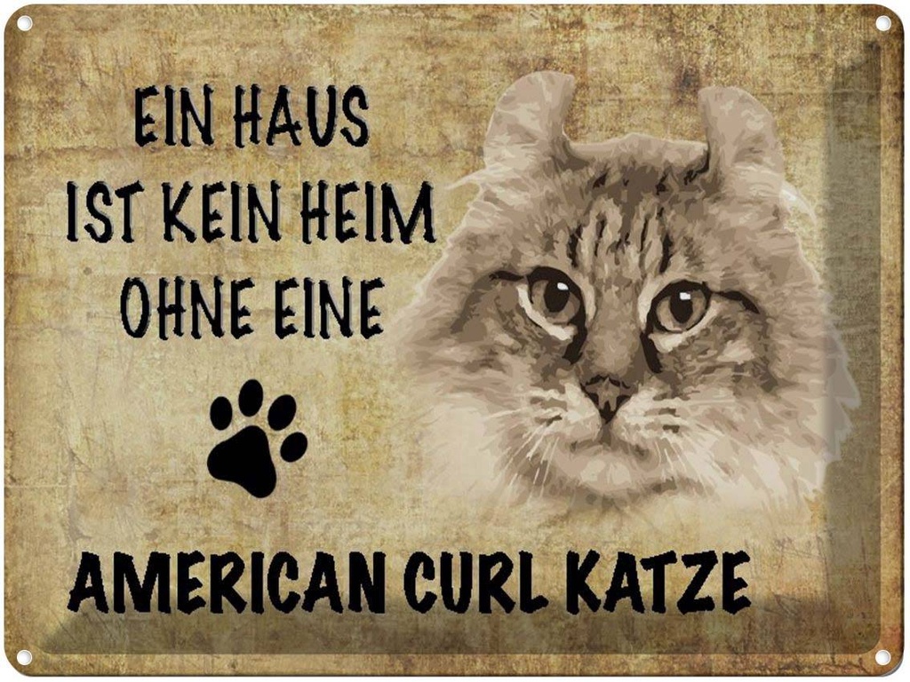 [LA-1790032] Blechschild 30x40 cm American Curl Katze