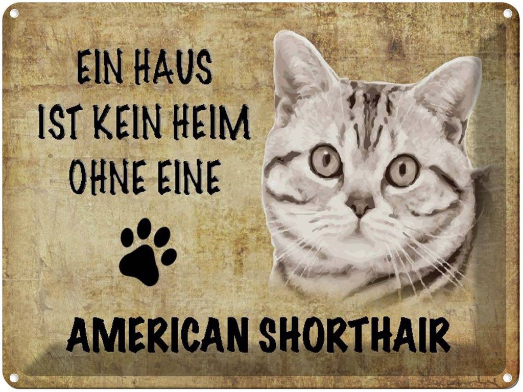 [LA-1790033] Blechschild 30x40 cm American Shorthair Katze
