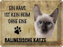Blechschild 30x40 cm balinesische Katze