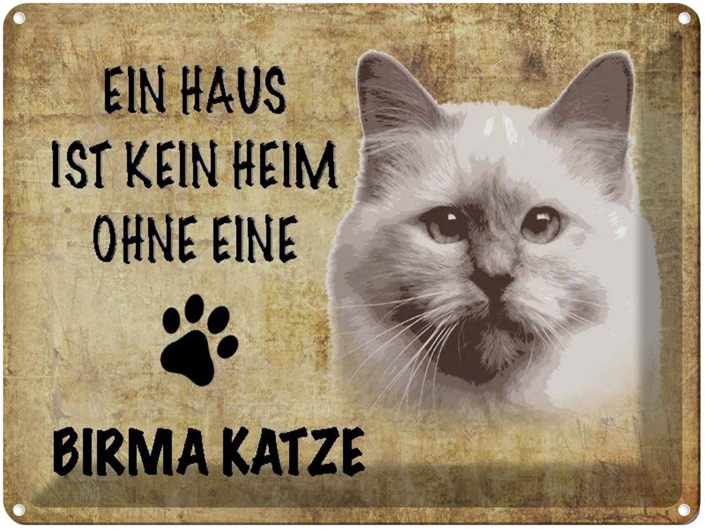 [LA-1790036] Blechschild 30x40 cm Birma Katze ohne kein Heim