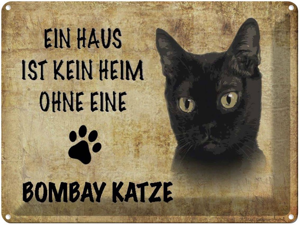 [LA-1790037] Blechschild 30x40 cm Bombay Katze ohne kein Heim