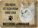 Blechschild 30x40 cm britische Langhaar Katze