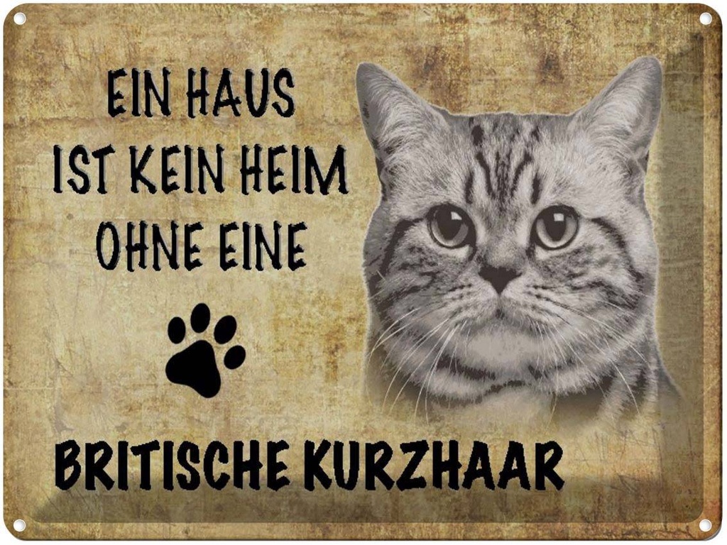 [LA-1790039] Blechschild 30x40 cm Britische Kurzhaar Katze