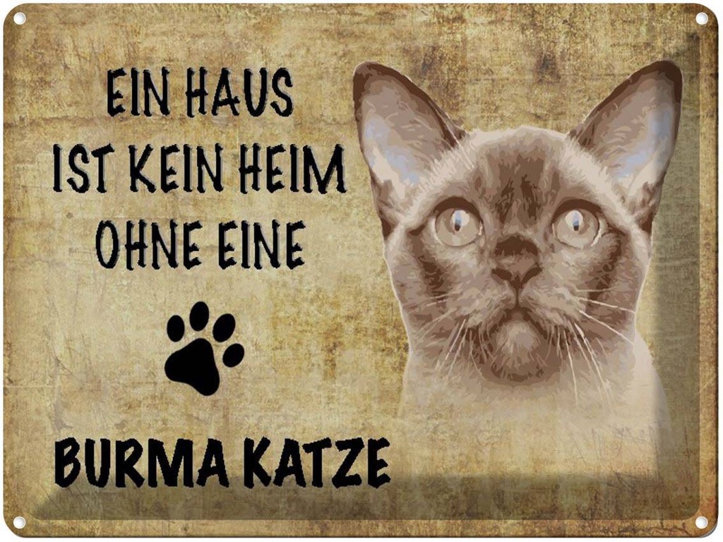 [LA-1790040] Blechschild 30x40 cm Burma Katze ohne kein Heim