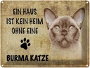 Blechschild 30x40 cm Burma Katze ohne kein Heim