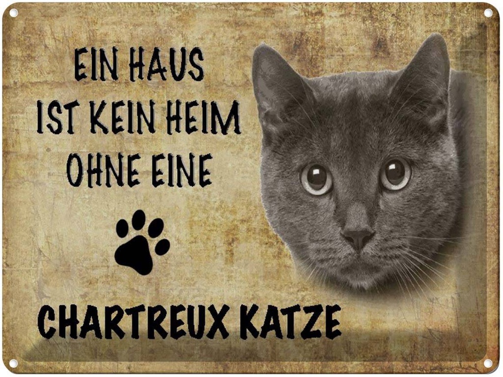 [LA-1790041] Blechschild 30x40 cm Chartreux Katze