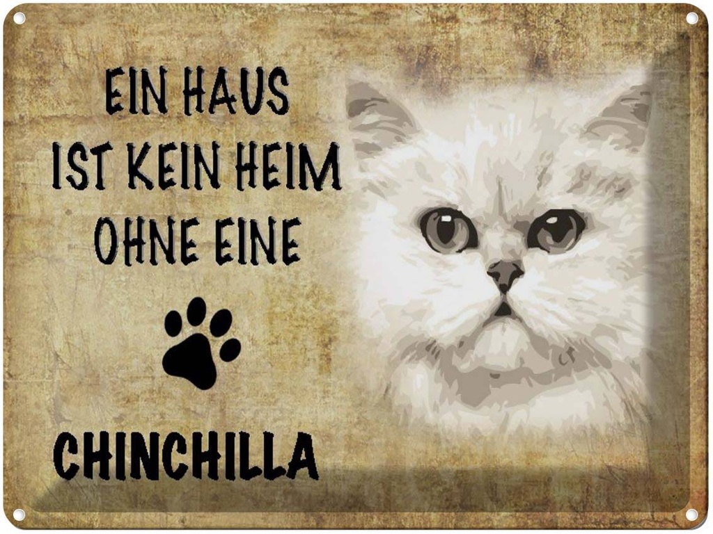 [LA-1790042] Blechschild 30x40 cm chinchilla Katze ohne kein Heim