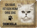 Blechschild 30x40 cm chinchilla Katze ohne kein Heim