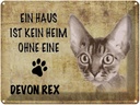 Blechschild 30x40 cm Devon Rex Katze ohne kein Heim