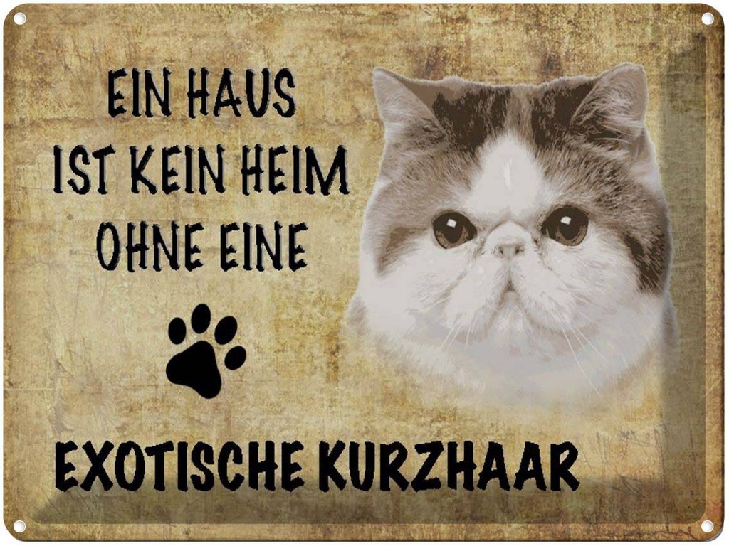 [LA-1790047] Blechschild 30x40 cm exotische Kurzhaar Katze