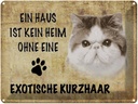 Blechschild 30x40 cm exotische Kurzhaar Katze