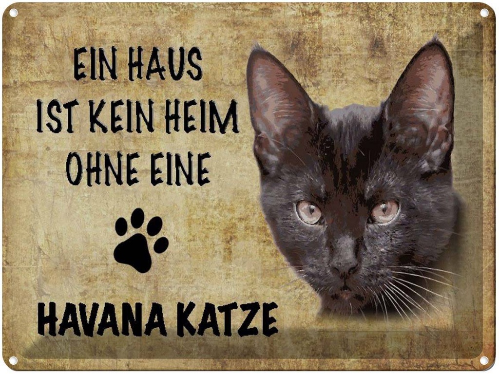 [LA-1790048] Blechschild 30x40 cm Havana Katze ohne kein Heim