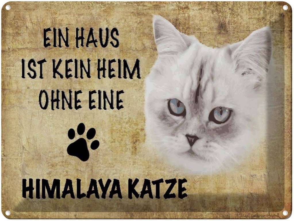 [LA-1790049] Blechschild 30x40 cm Himalaya Katze ohne kein Heim