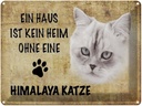 Blechschild 30x40 cm Himalaya Katze ohne kein Heim