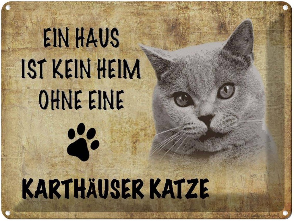 [LA-1790050] Blechschild 30x40 cm Kartäuser Katze ohne kein Heim