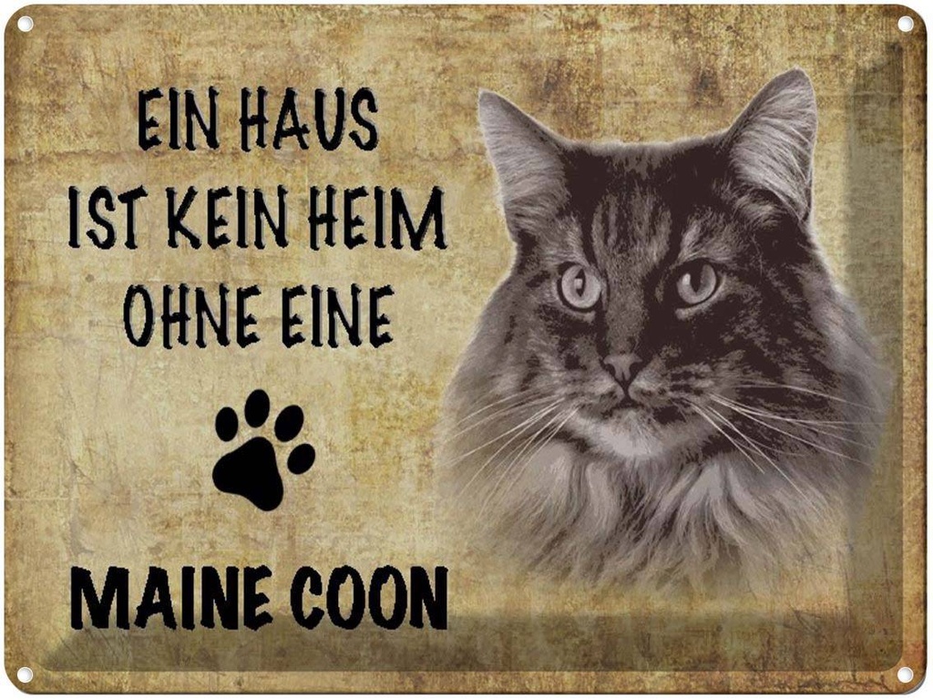 [LA-1790051] Blechschild 30x40 cm Maine Coon Katze ohne kein Heim